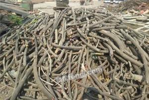 廢電纜線錫線高價(jià)回收-東泰物資回收