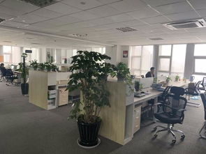 紡織印染ERP生產管理軟件 驅動染廠智能升級與高效運營的核心引擎